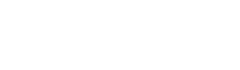 Skyers logo